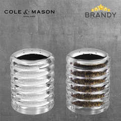 Beehive Salt & Pepper Shakers Set 2pcs Stainless Steel Acrylic Modern Kitchenware