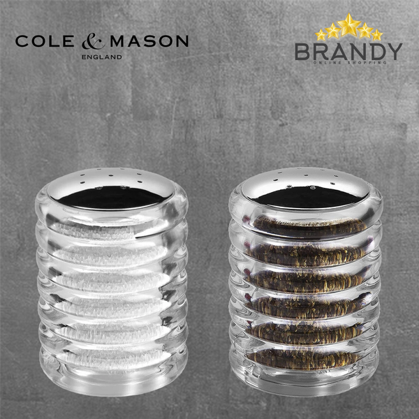 Beehive Salt & Pepper Shakers Set 2pcs Stainless Steel Acrylic Modern Kitchenware