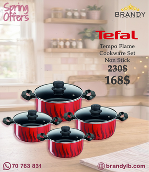 Tefal Tempo Flame 8-Pc Stewpots 18-22-26-30 cm Titanium Non-Stick, Glass Lids