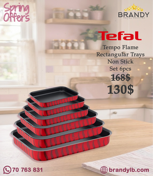 Tefal Tempo Flame 6-Piece Rectangular Oven Dish Set Non-Stick Aluminum