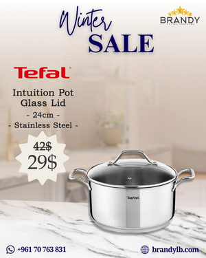 Intuition Pot 24cm Stainless Steel