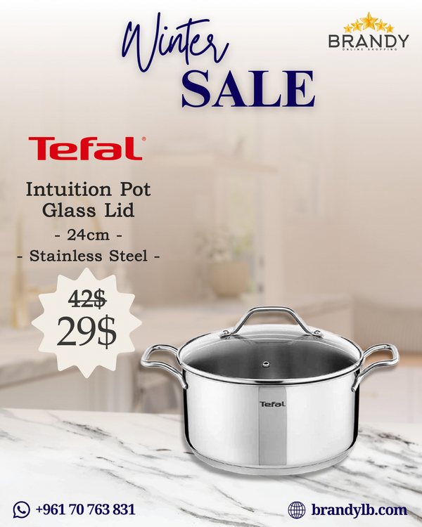 Intuition Pot 24cm Stainless Steel