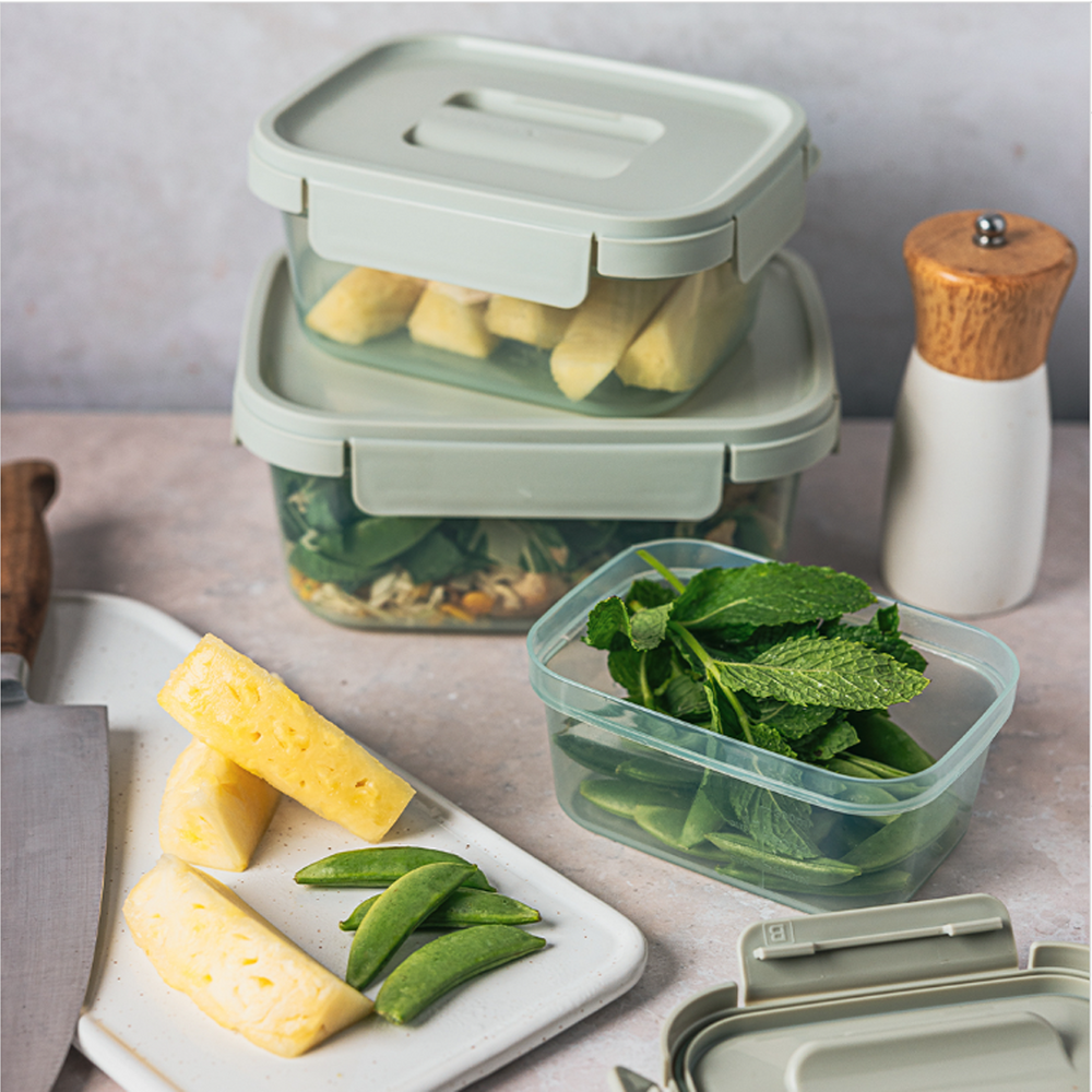 Nestopia Food Containers Set of 3