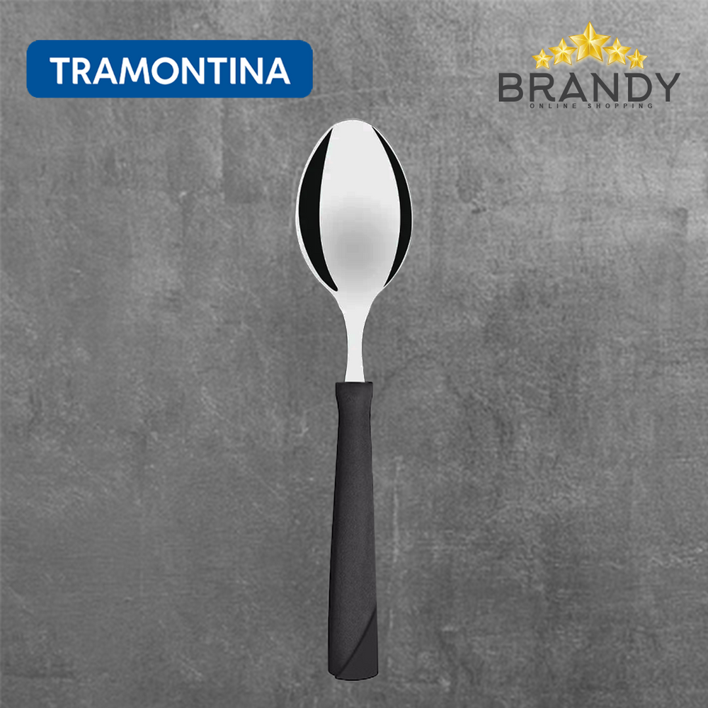 New Kolor Black Dinner Spoons Set 12pcs Stainless Steel